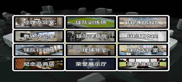 职业足球生涯图3