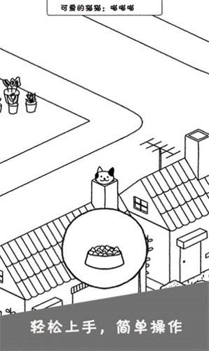 猫咪公社图2