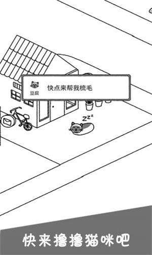 猫咪公社图3