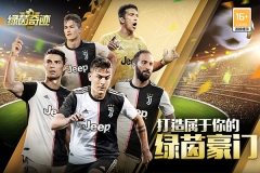 绿茵奇迹图4