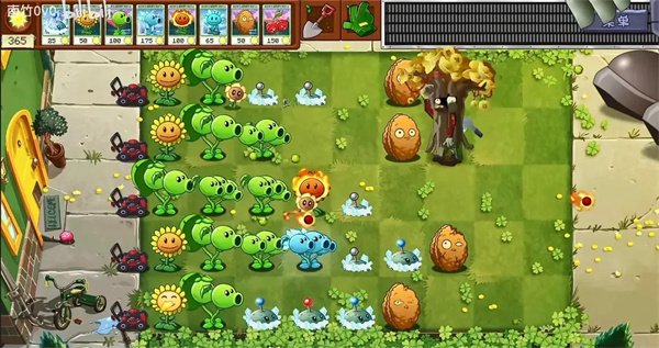 植物大战僵尸转基因版(1)
