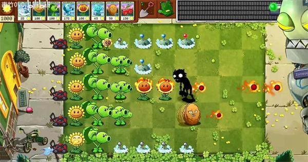 植物大战僵尸转基因版(3)