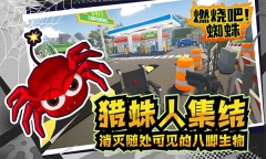 燃烧吧蜘蛛手机版-图4