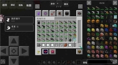 我的世界惊变100天单机版图1