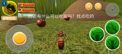 螞蟻部落圖3