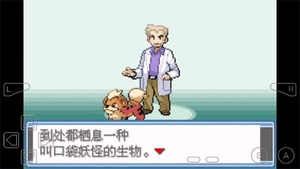 口袋妖怪永恒之焱XYZ神獸版圖3