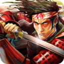 武士2复仇安卓中文版 
