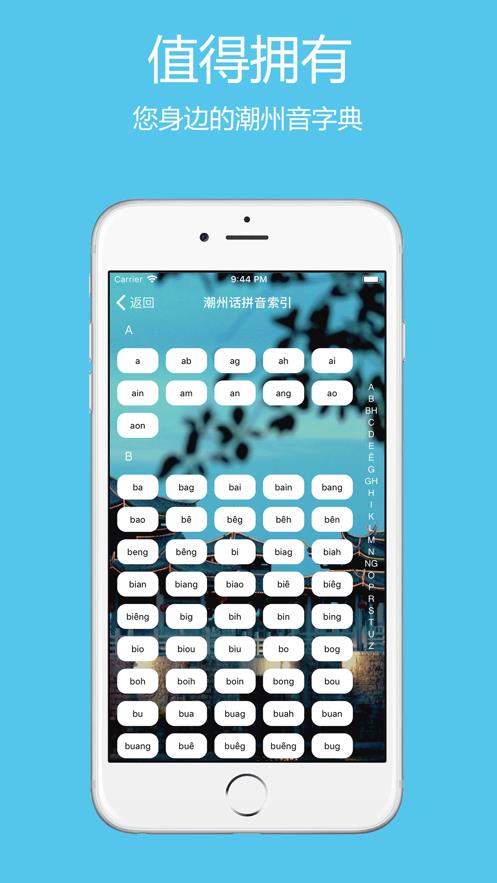 潮州音字典手機移動版本圖2