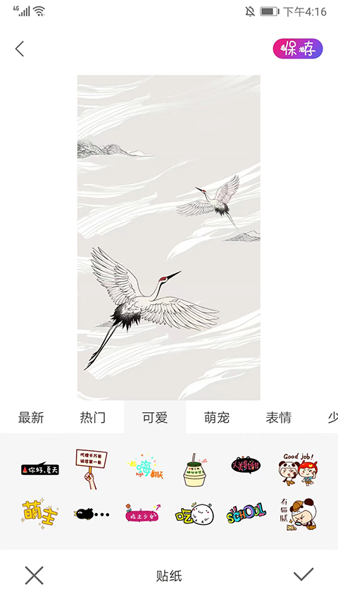 ProMovie专业摄像机正版-图4