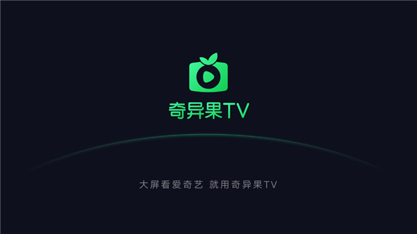 爱奇艺TV版截图2