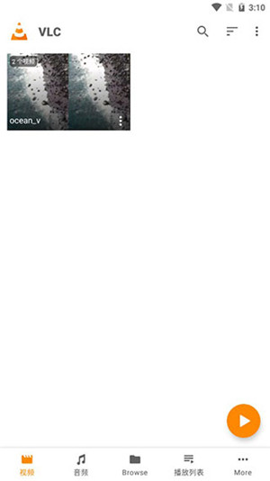 VLC Media Player手机中文版截图1