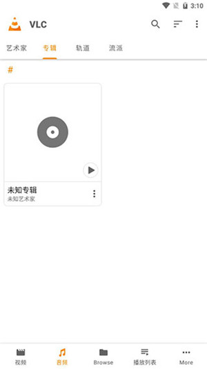 VLC Media Player手机中文版截图3