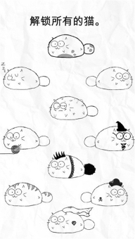 fatty cat图2