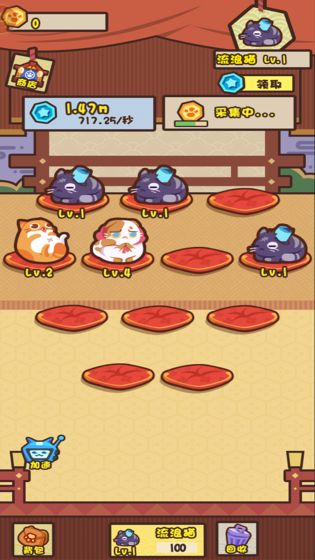 养猫计划-图4