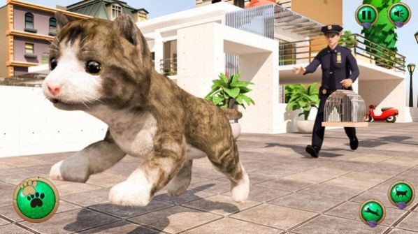 非常宠物猫模拟器图3