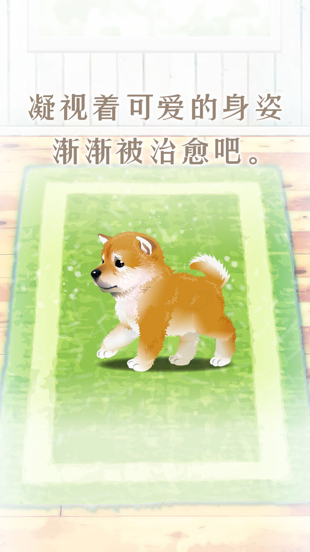 养育柴犬的治愈游戏截图2