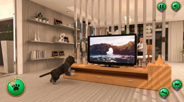 非常宠物猫模拟器图1