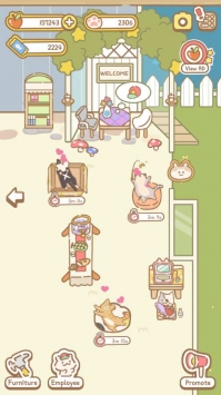 猫咪Spa图2