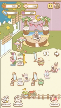 猫咪Spa图3