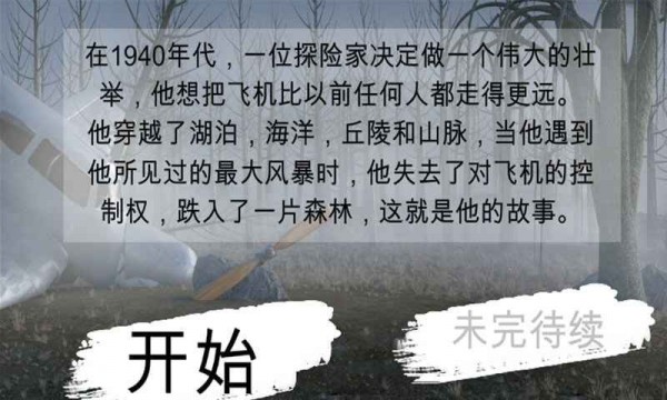 迷失在森林(3)