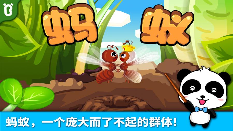 宝宝认蚂蚁(1)
