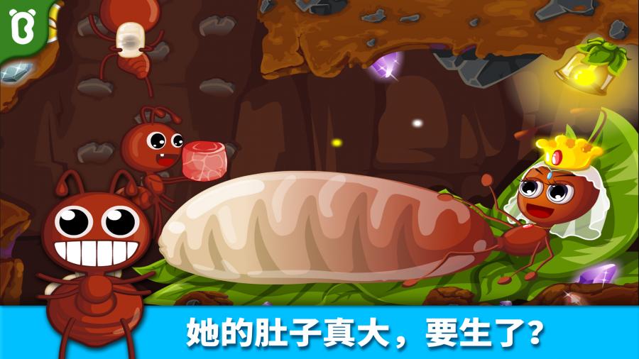 宝宝认蚂蚁(3)
