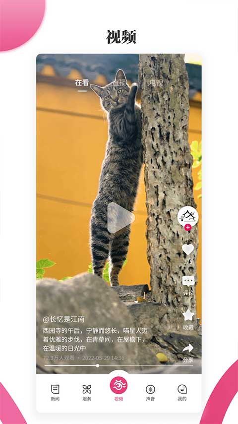 看苏州图1