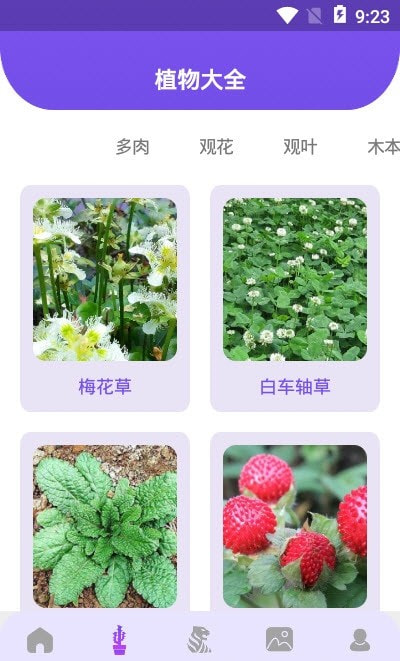 花朵识别-图3