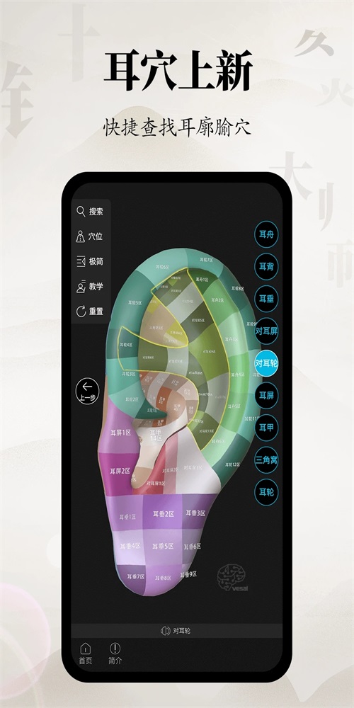 针灸大师图3