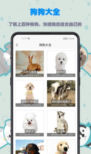 训狗教程图2