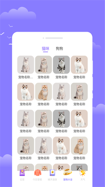 四方通天气图1