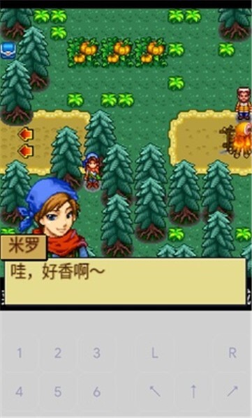 宠物王国4白金图3