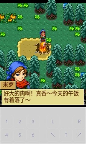 宠物王国4白金图1