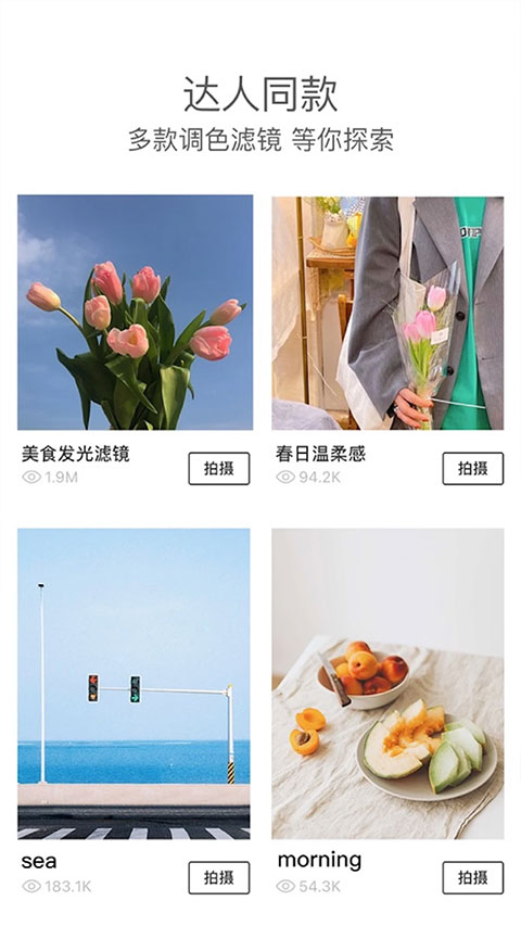 foodie(5)