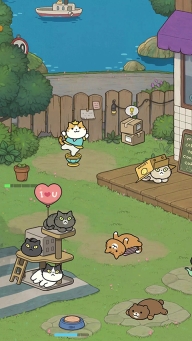 神秘猫咪字典最新版(1)