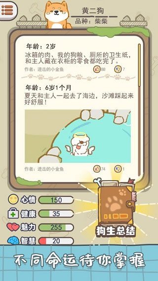 狗子重生模拟器最新版图4