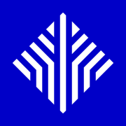 金千枝