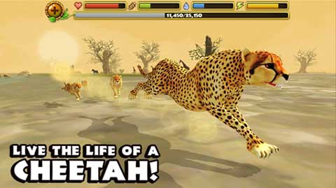 猎豹模拟器游戏(Cheetah Sim)图2