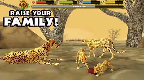 猎豹模拟器游戏(Cheetah Sim)图3