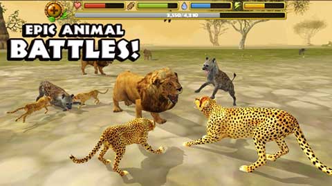 猎豹模拟器游戏(Cheetah Sim)图4