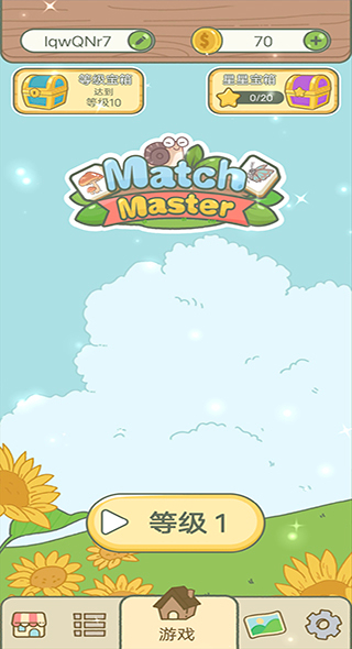 匹配大师游戏图3