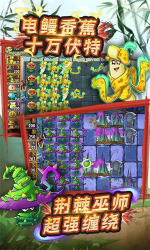 植物大战僵尸2永劫无间图4