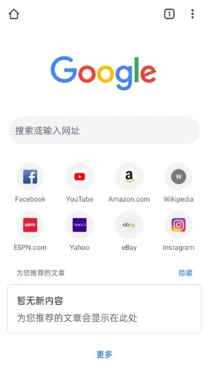 chrome浏览器中文版-图1