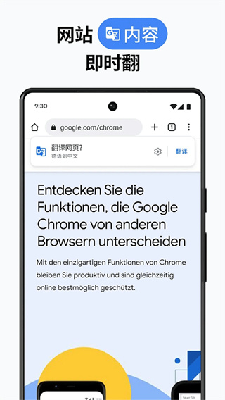 谷歌浏览器金丝雀版-图1