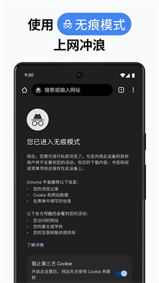 谷歌浏览器金丝雀版-图3