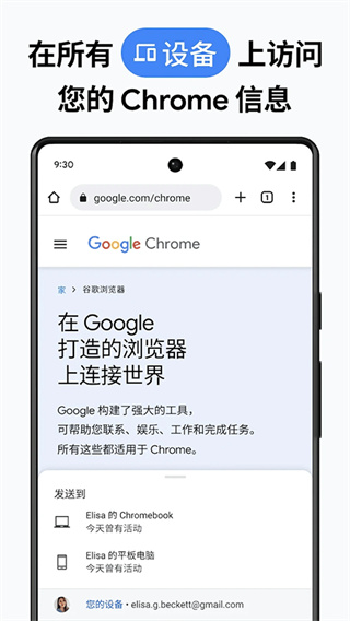 谷歌浏览器金丝雀版-图4