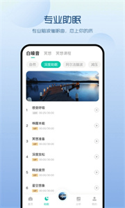 萤火虫睡眠图3