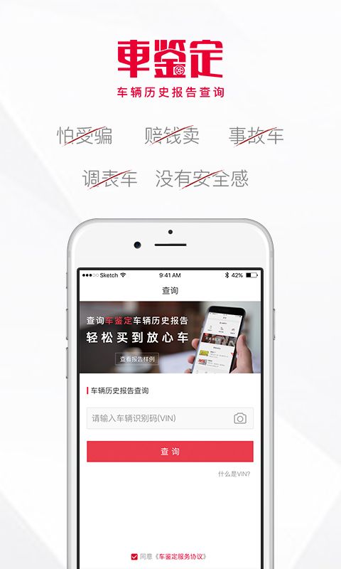 车鉴定图1