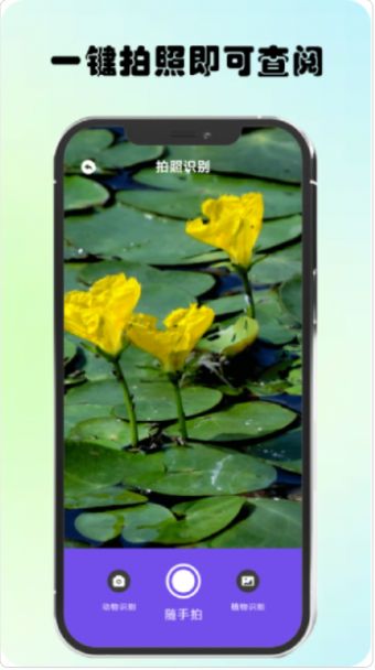 万物识图图2
