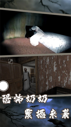 恐怖奶奶中文版-图5